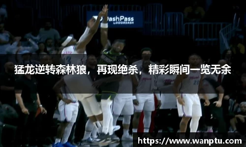 猛龙逆转森林狼，再现绝杀，精彩瞬间一览无余